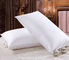 700G Down Feather Pillow Fashion Custom Various Accessories