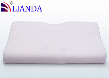 Queen Size Memory Foam Pillow 2 Pack  Antibacterial Cover BS5852 CA117